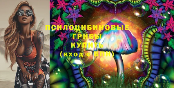 гашик Козловка