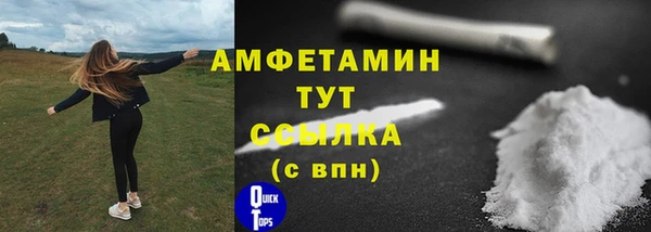гашик Козловка