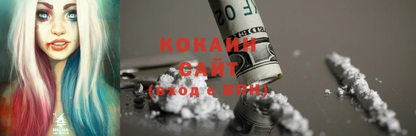 гашик Козловка