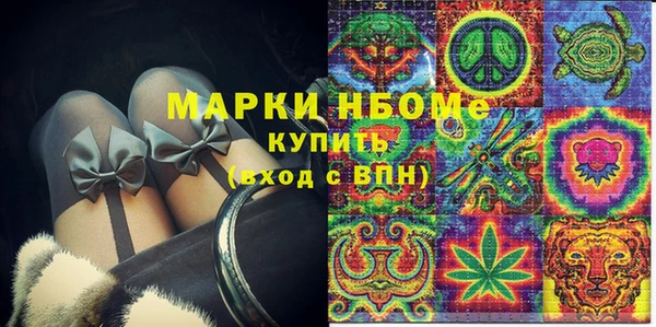 гашик Козловка