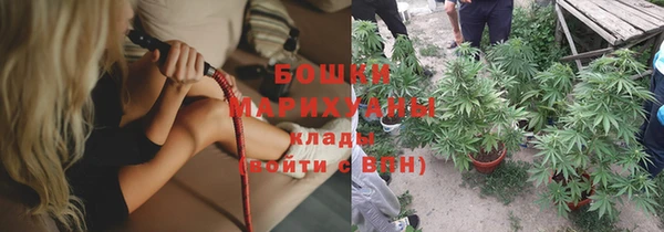 гашик Козловка