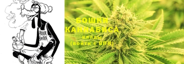 гашик Козловка