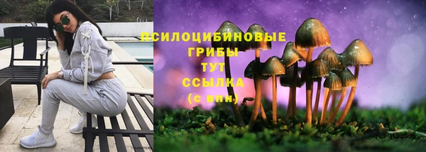 гашик Козловка